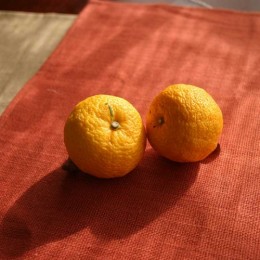 柚子と橙(ゆずとだいだい)「ぽん酢」【品番134】